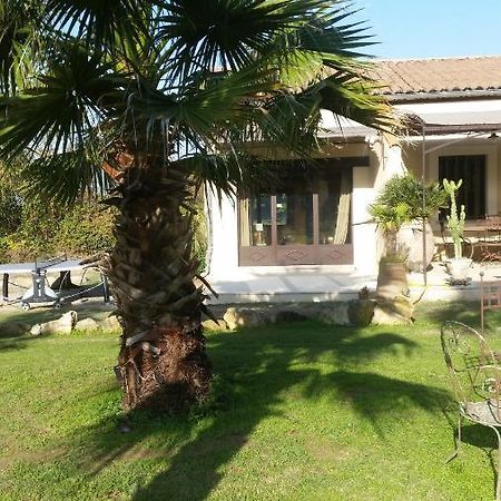 Provence Bed and Breakfast Carpentras Εξωτερικό φωτογραφία