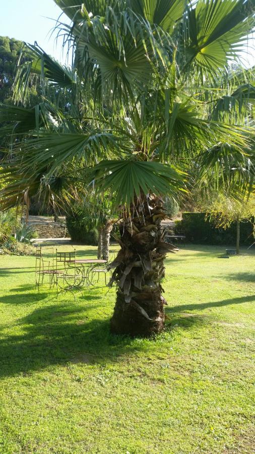 Provence Bed and Breakfast Carpentras Εξωτερικό φωτογραφία